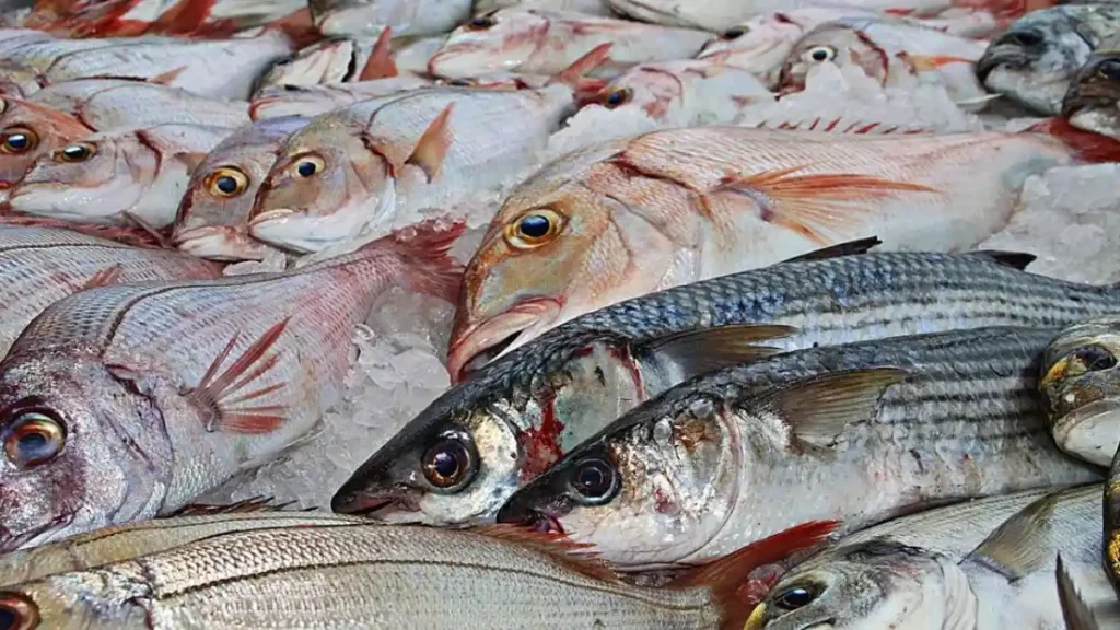 En Semana Santa aumenta la demanda de pescados y mariscos