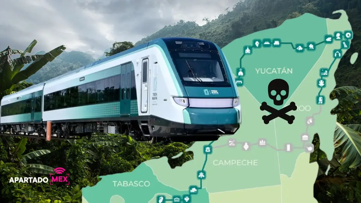 Ecocidio del Tren Maya Daños ambientales y sociales irreparables